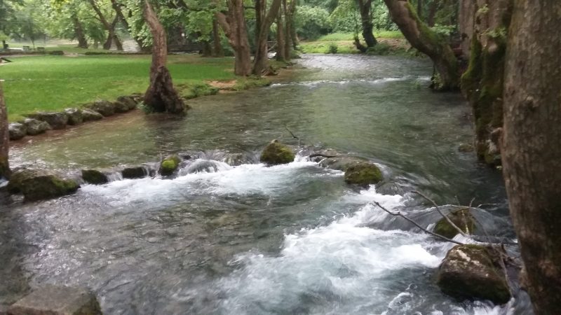 Άλσος Αγίου Νικολάου Νάουσας.