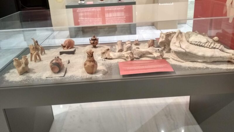 Έκθεση ΙΠΠΟΣ_το άλλογο στην Αρχαία Αθήνα (10)