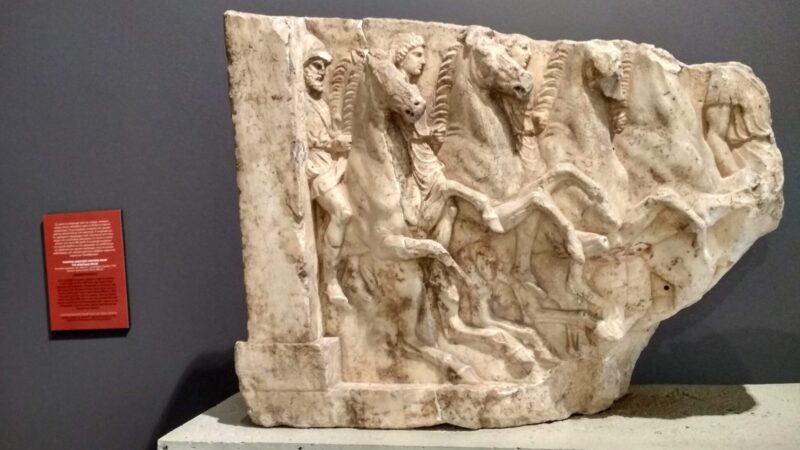 Έκθεση ΙΠΠΟΣ_το άλλογο στην Αρχαία Αθήνα (8)